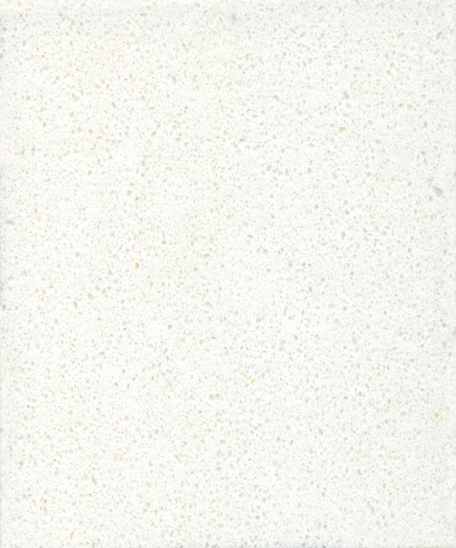 CL101